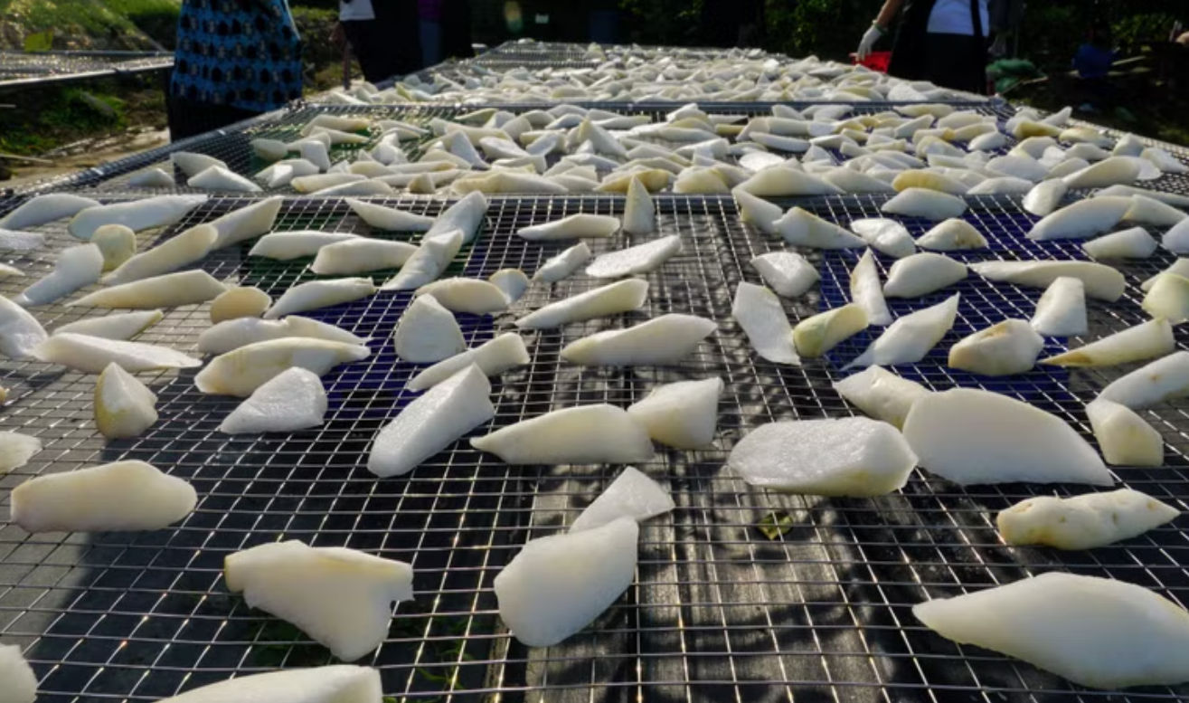 LoCoFARMS 本地種植｜純素本地辣菜脯