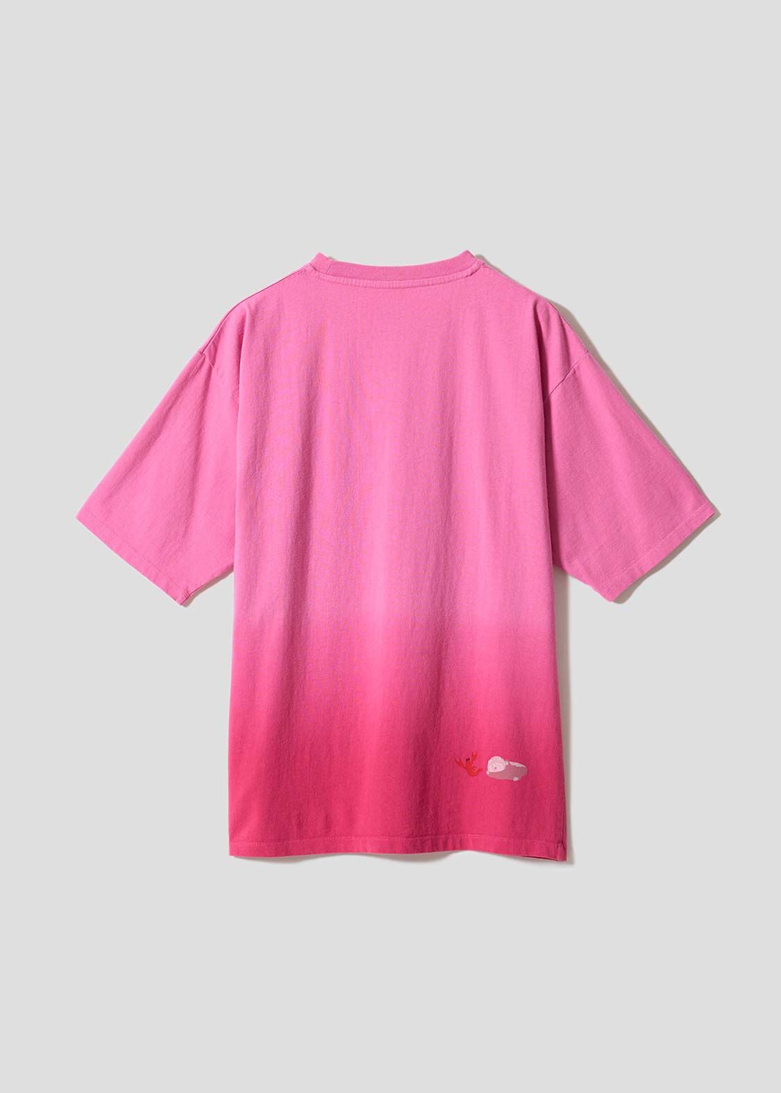日本預訂 graniph GH Ikakuseicho | Gradient T-shirt