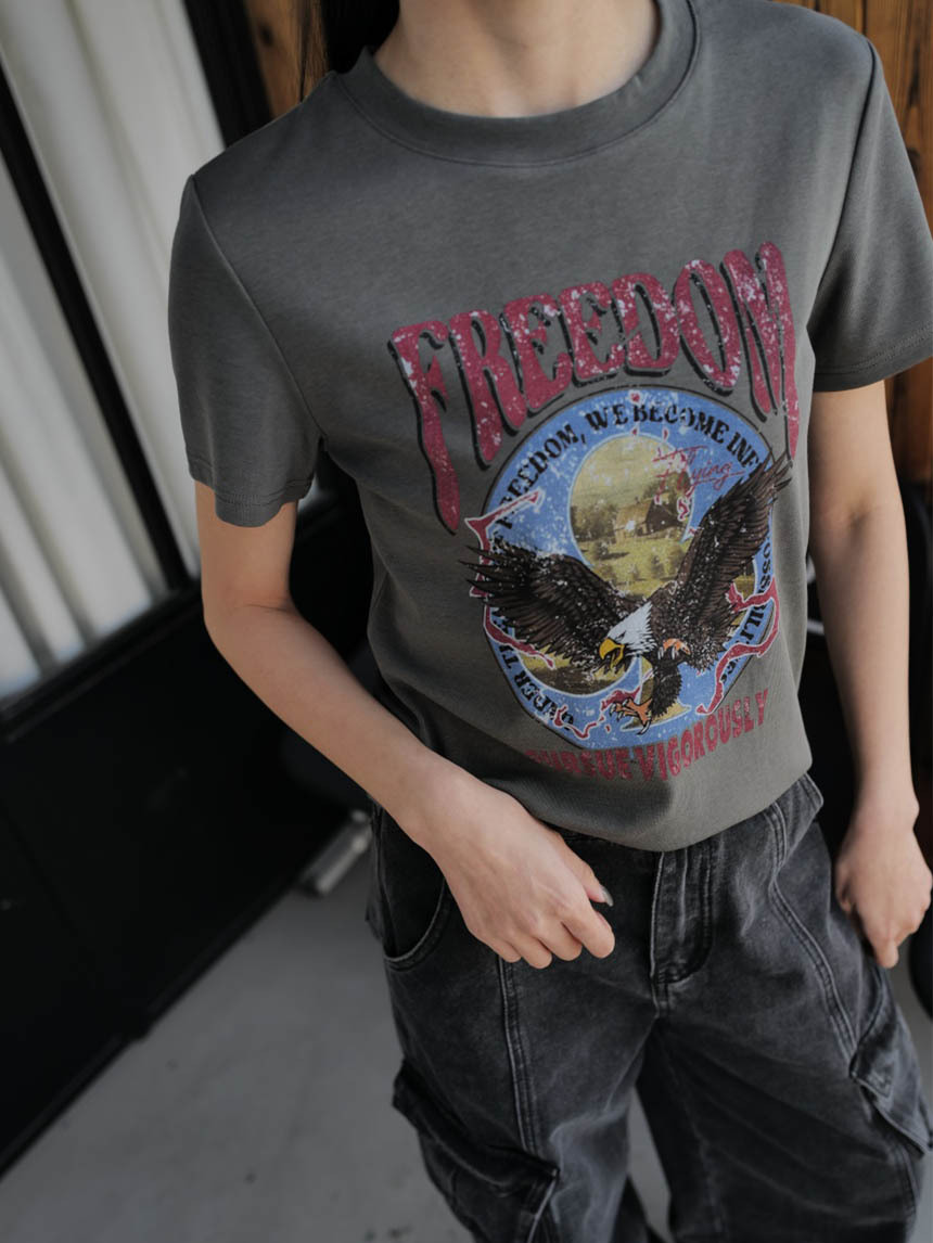 韓系美系復古老鷹T*2色