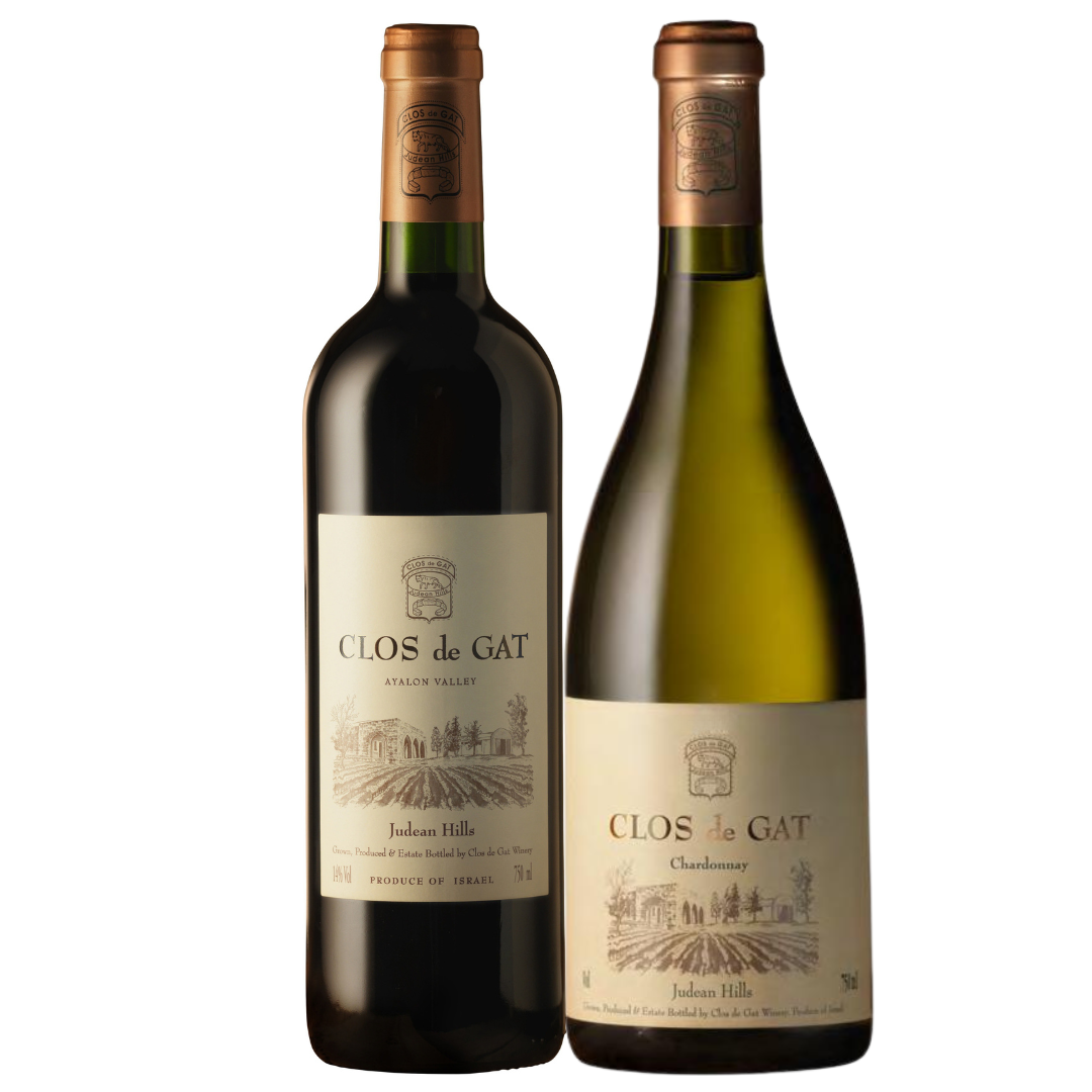 Clos De Gat Ayalon Valley 2017 + Chardonnay 2022
