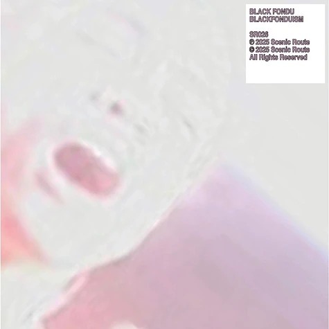 Black Fondu.《Blackfonduism》（LP）
