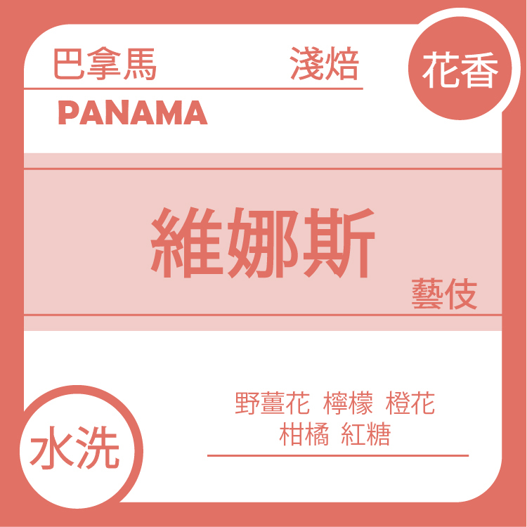 【限時７折】巴拿馬 維娜斯 藝伎 水洗