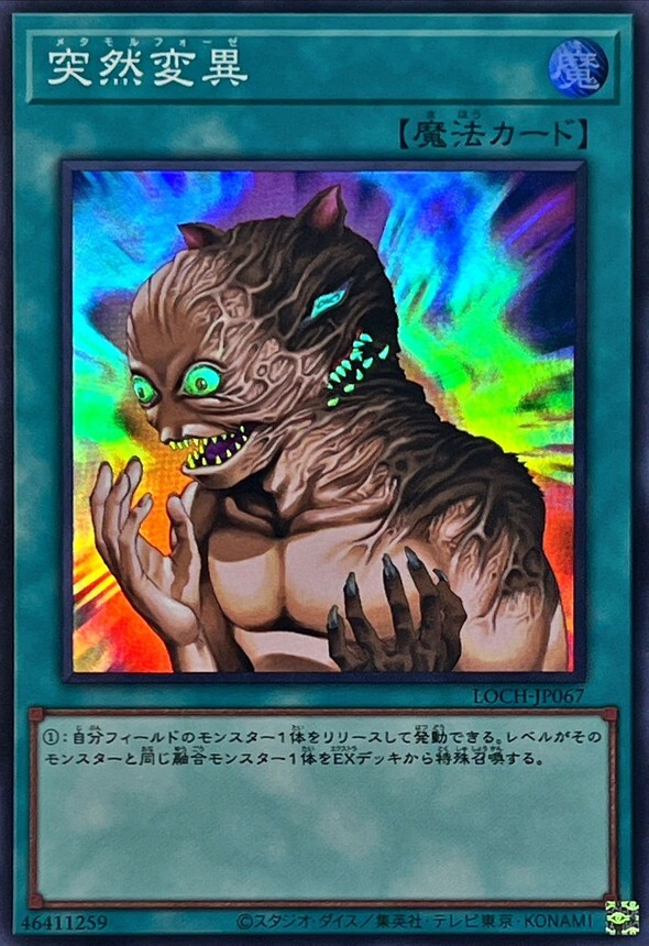 LOCH-JP067 突然変異