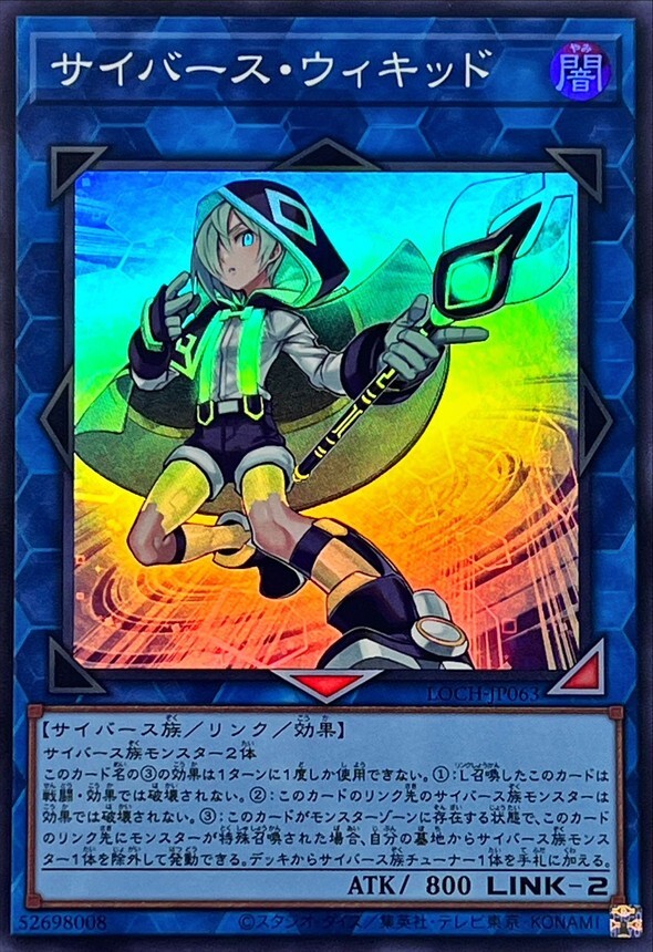 LOCH-JP063 サイバースウィキッド