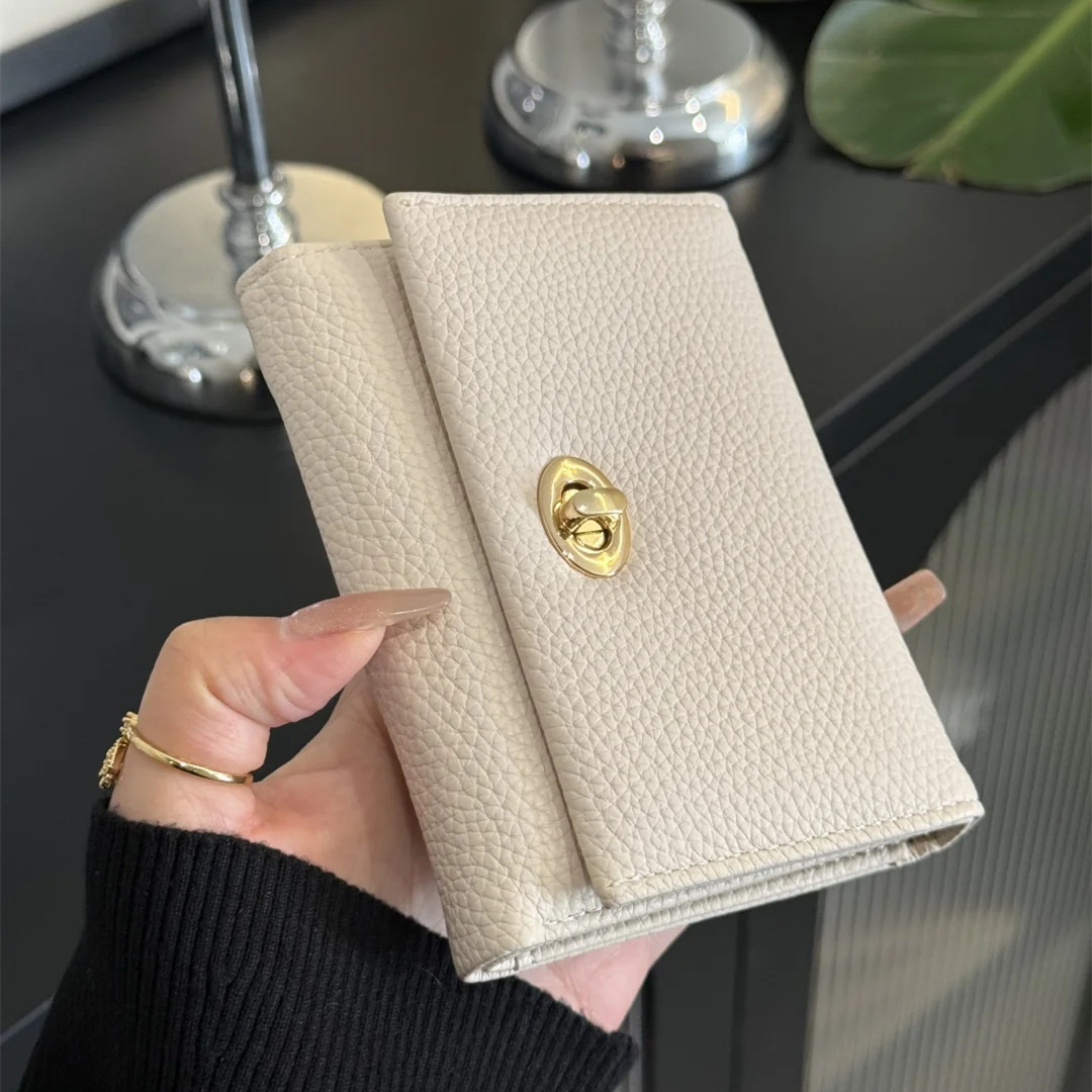 Minimalist Luxury INS Wallet