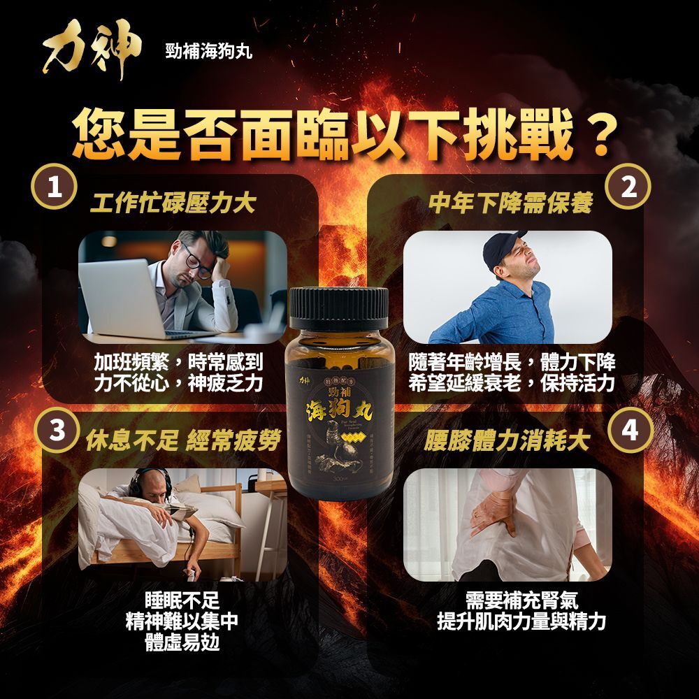 力神勁補海狗丸 特強配方 300粒 | 補腎壯陽 溫補腎陽 提升戰力 補而不燥 香港製造