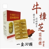 0305TW23-台灣保健品-牛樟芝固態菌絲體膠囊（E23）
