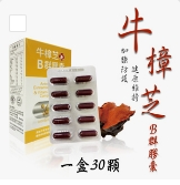 0305TW28-台灣保健品-牛樟芝B群膠囊（E28）