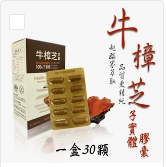 0305TW29-台灣保健品-牛樟芝子實體膠囊（E29）