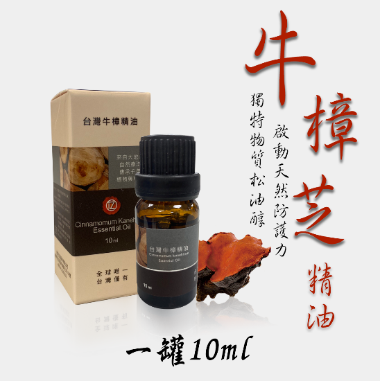 0305TW31-台灣保健品-牛樟芝純精油10ml（E31）