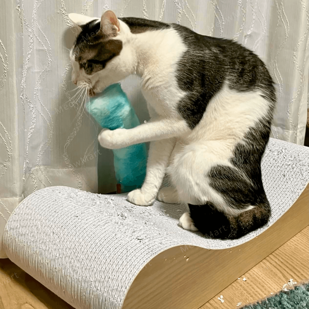 Mofu 貓薄荷踢踢棒