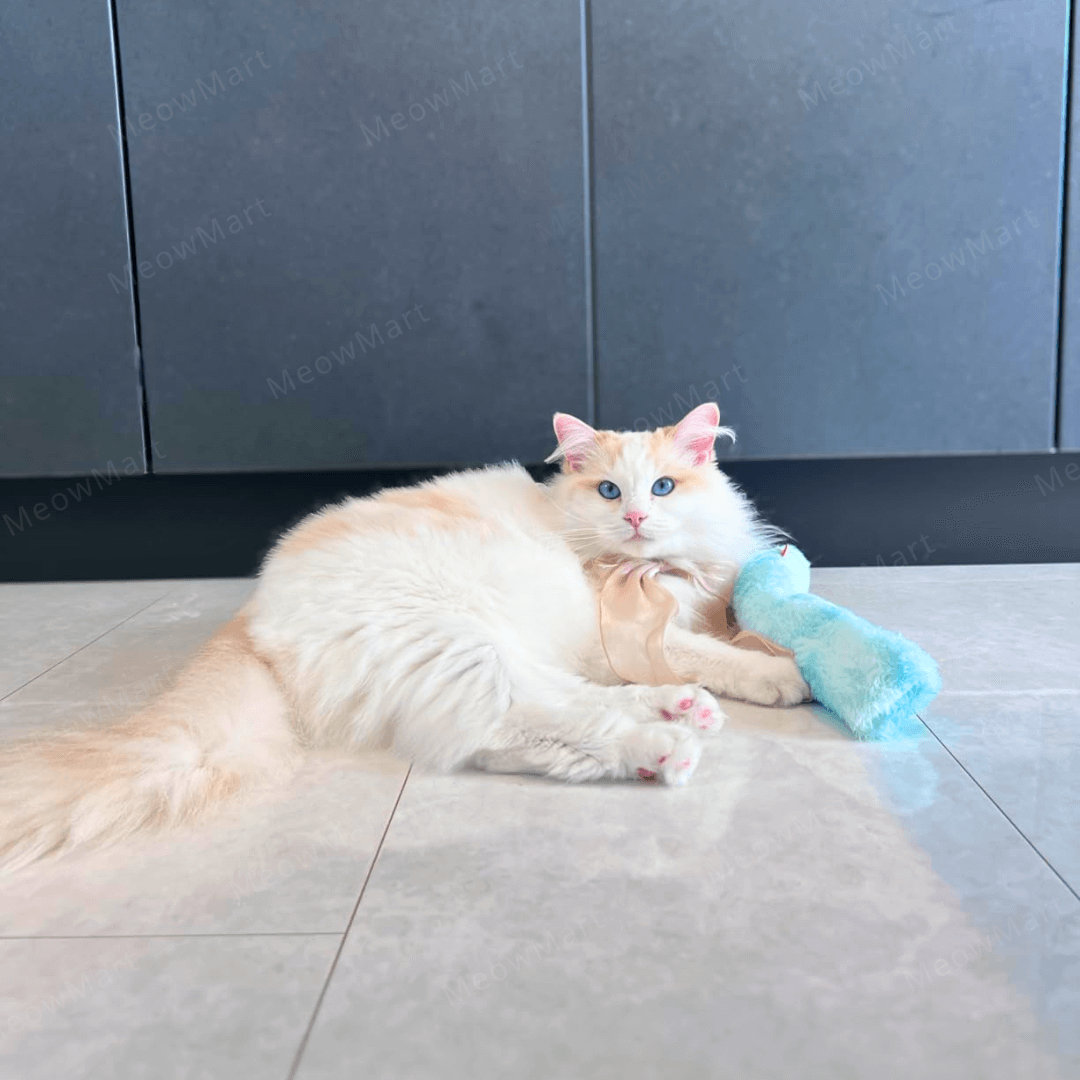 Mofu 貓薄荷踢踢棒