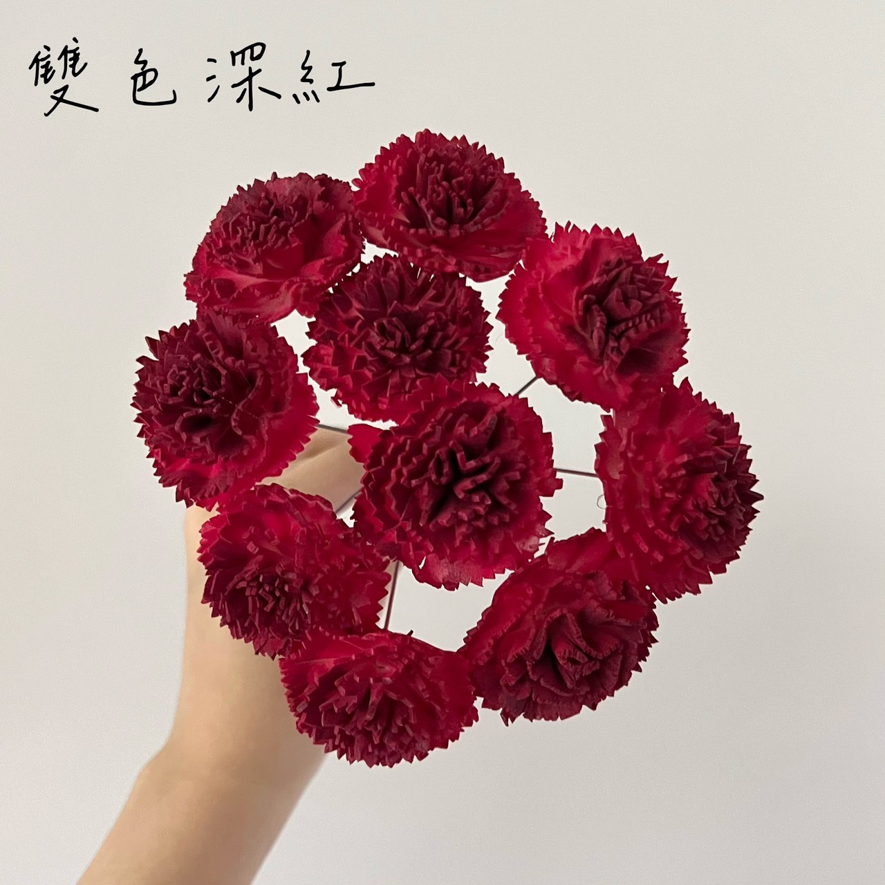 越南索拉花 尖葉康乃馨 6-7CM<十支一把>