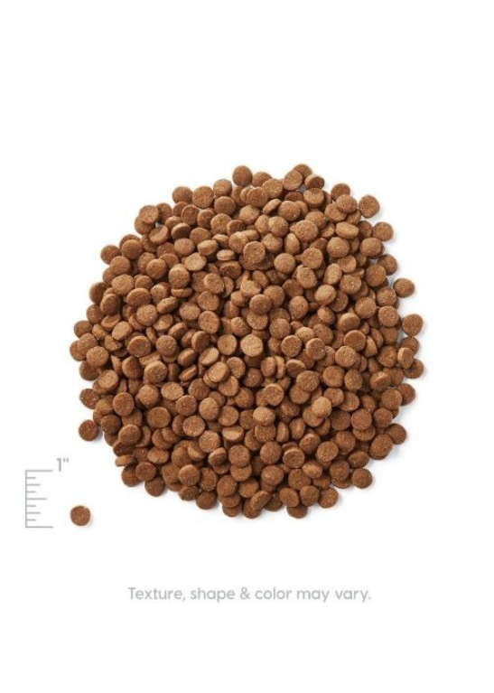 Solid Gold 素力高 無穀物雞肉抗敏全貓糧 3LB