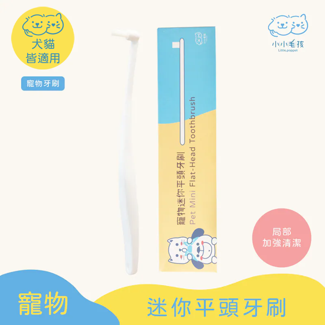 Pet Mini Flat-Head Toothbrush【Little poppet】