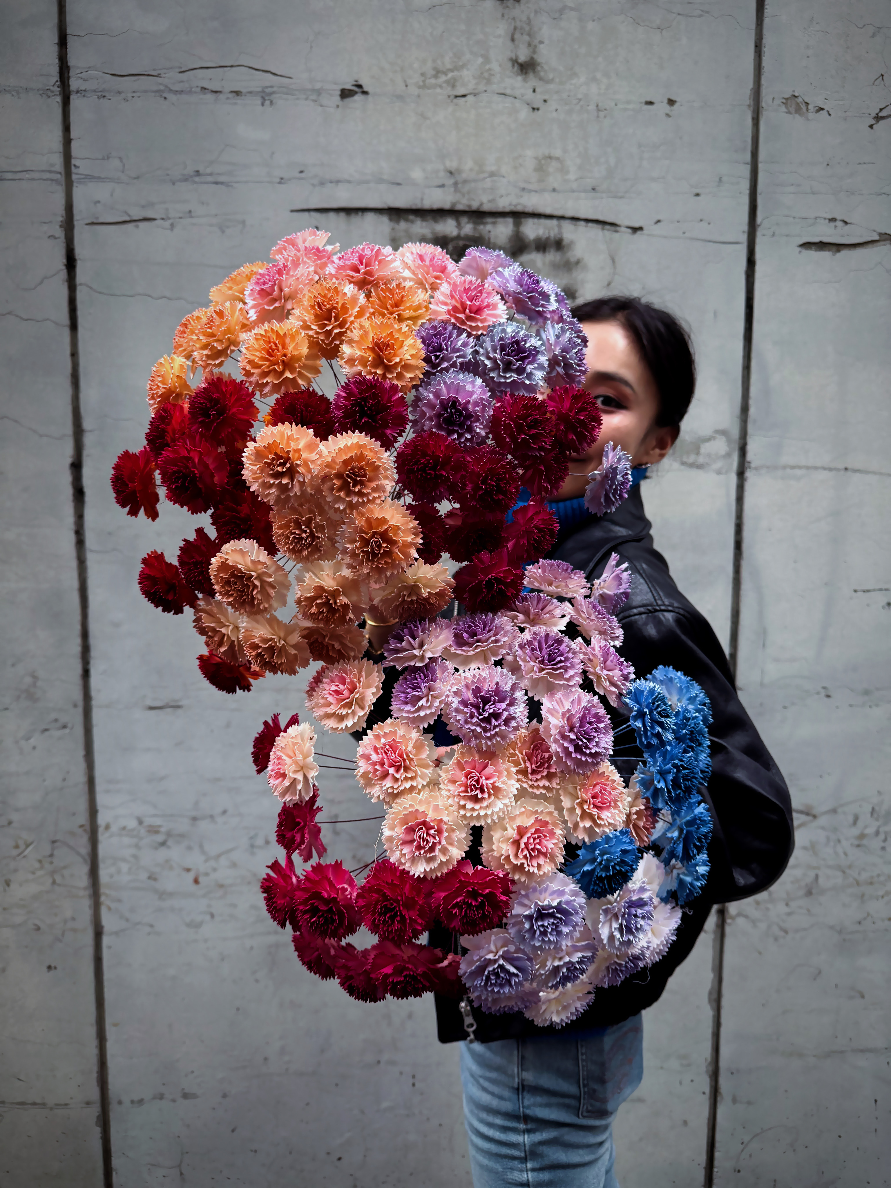 乾燥康乃馨索拉