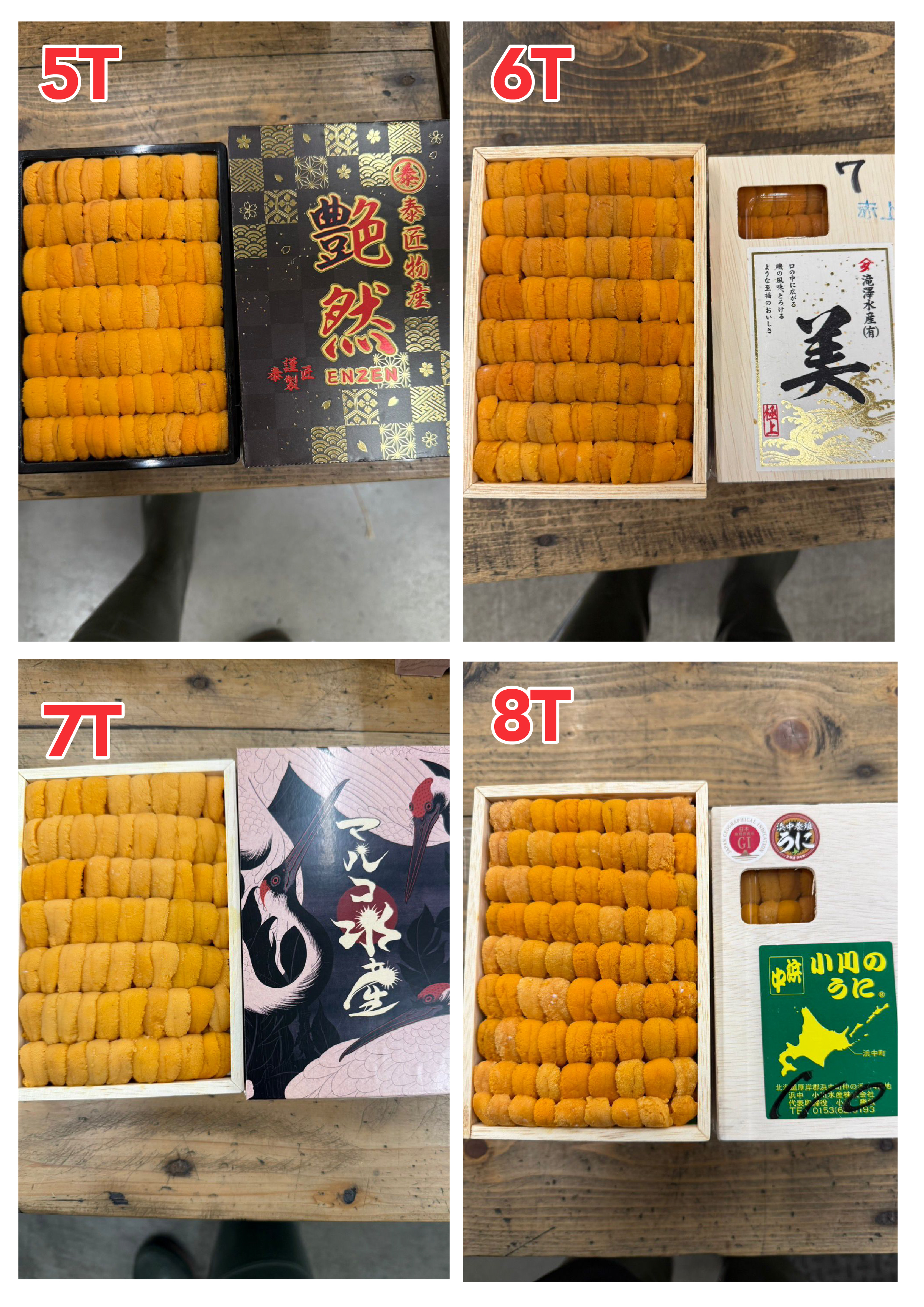 【指定海膽推薦】每天更新 (限即日落單, 翌日送)