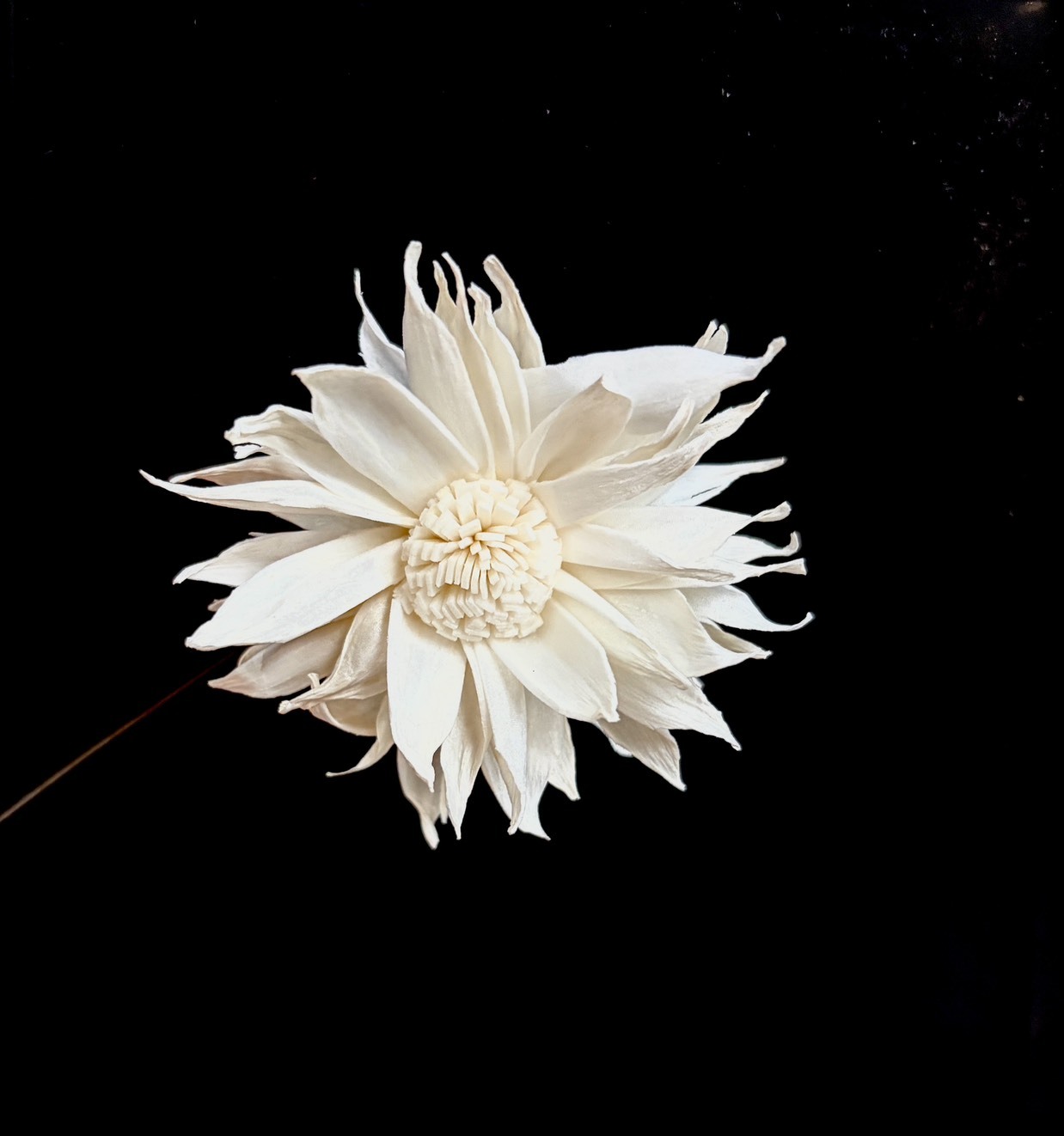 乾燥滾邊太陽索拉