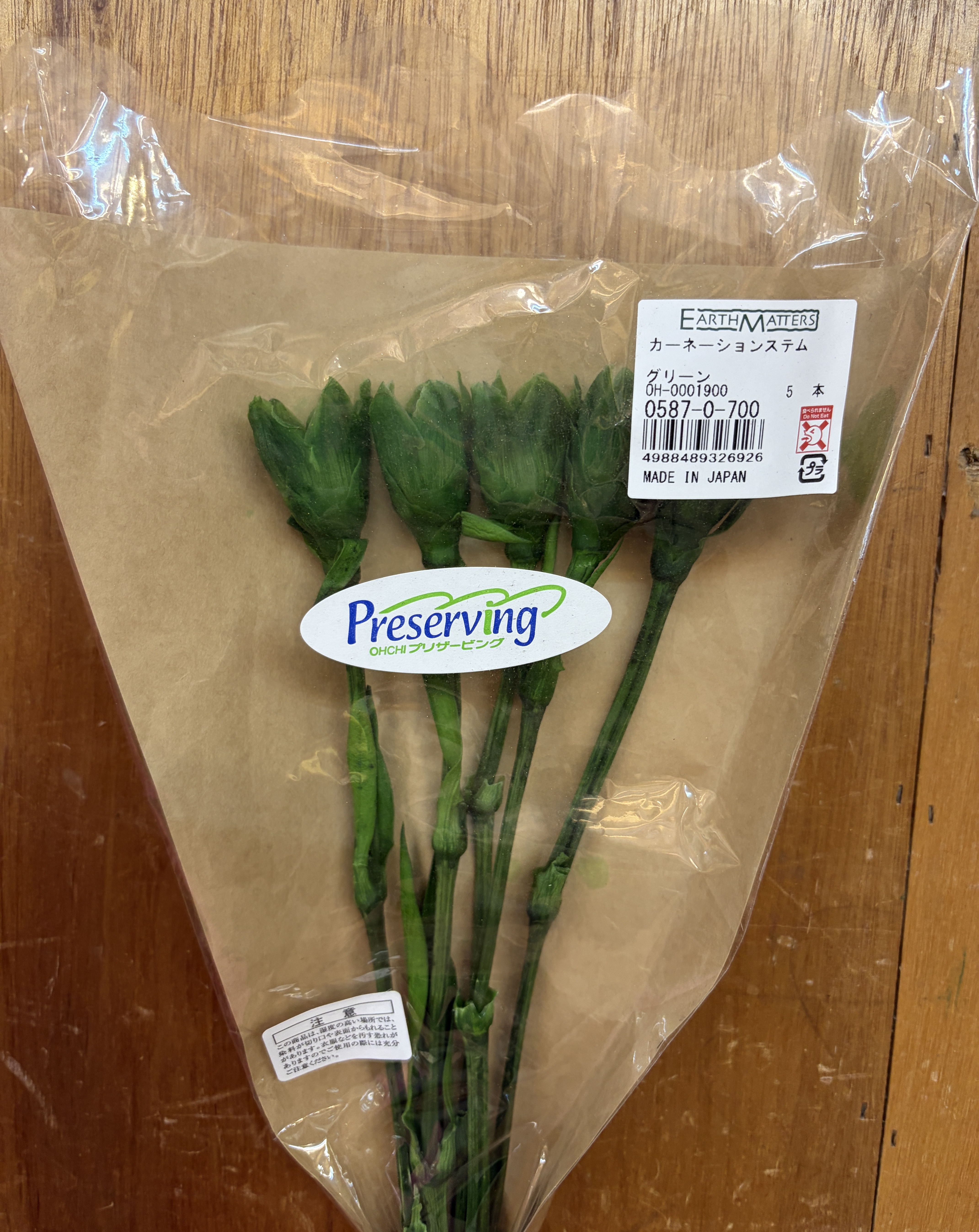 永生康乃馨花梗