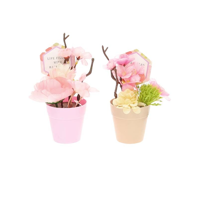 裝飾花卉/櫻花盆栽