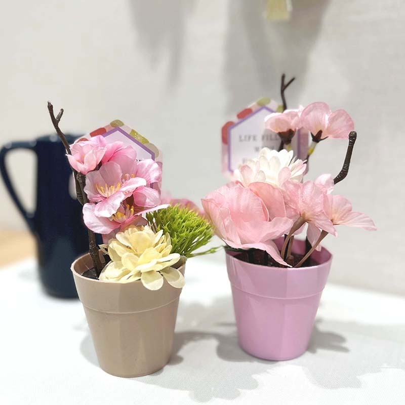 裝飾花卉/櫻花盆栽