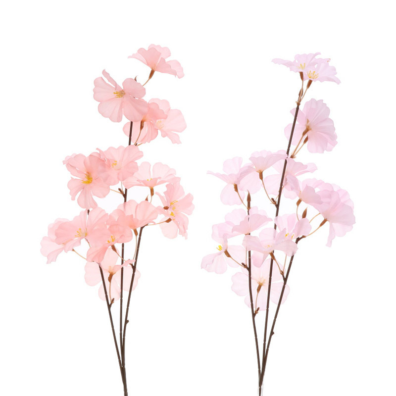 裝飾花卉/大朵櫻花