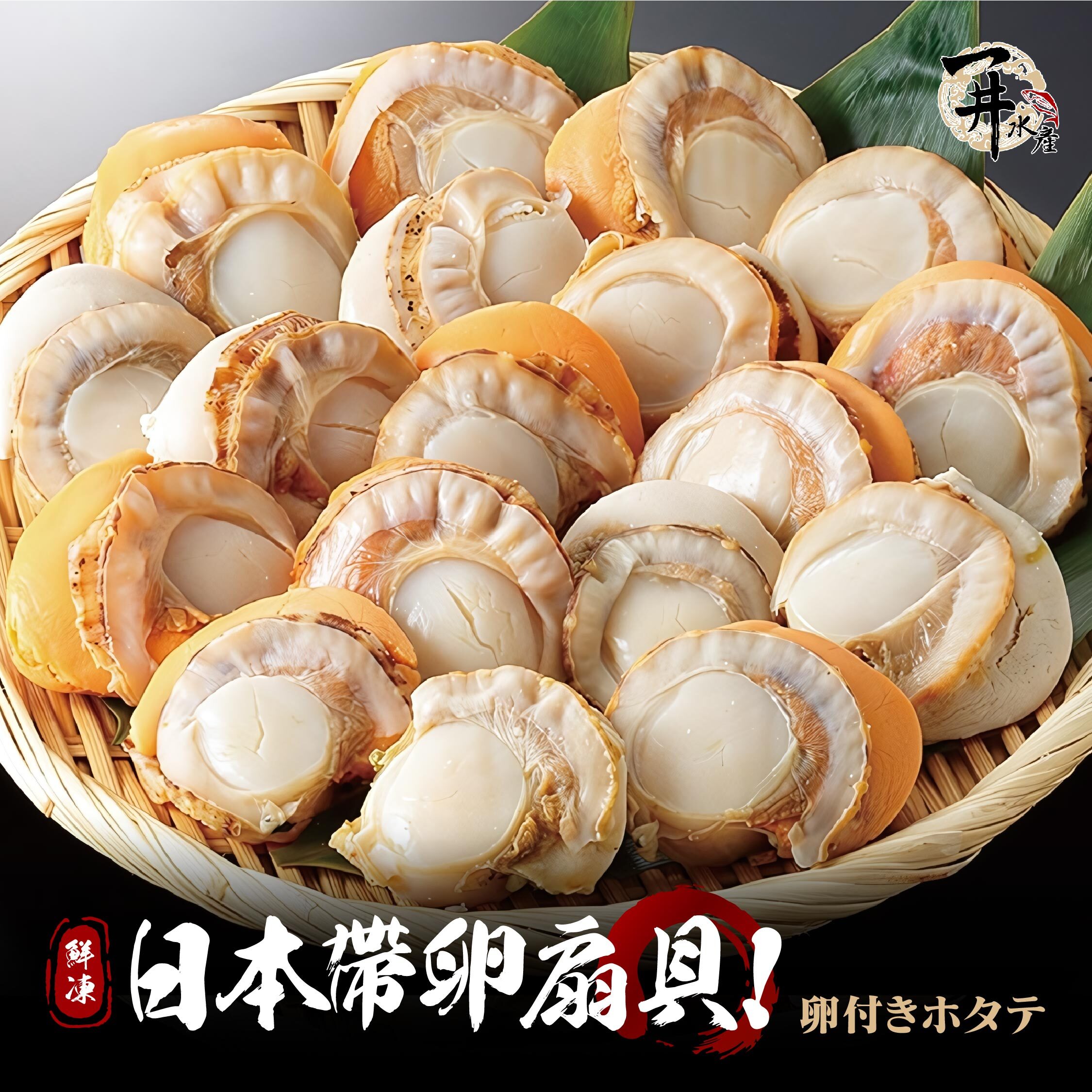 日本 帶卵扇貝 / 帶卵帆立貝