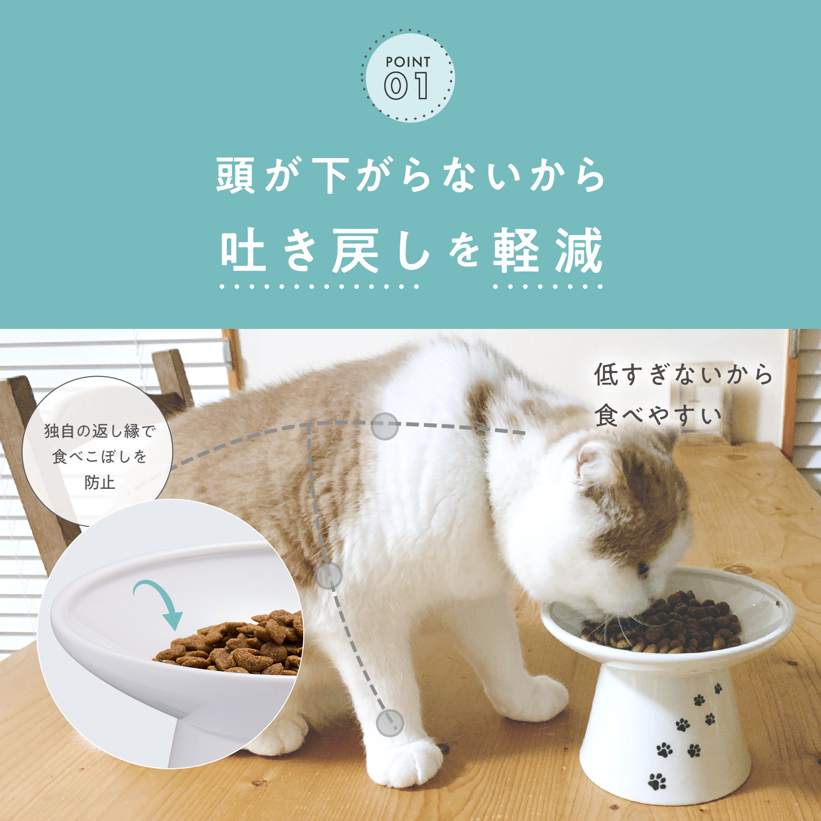 日本Necoichi 淺口高腳食物碗 (日本直送)