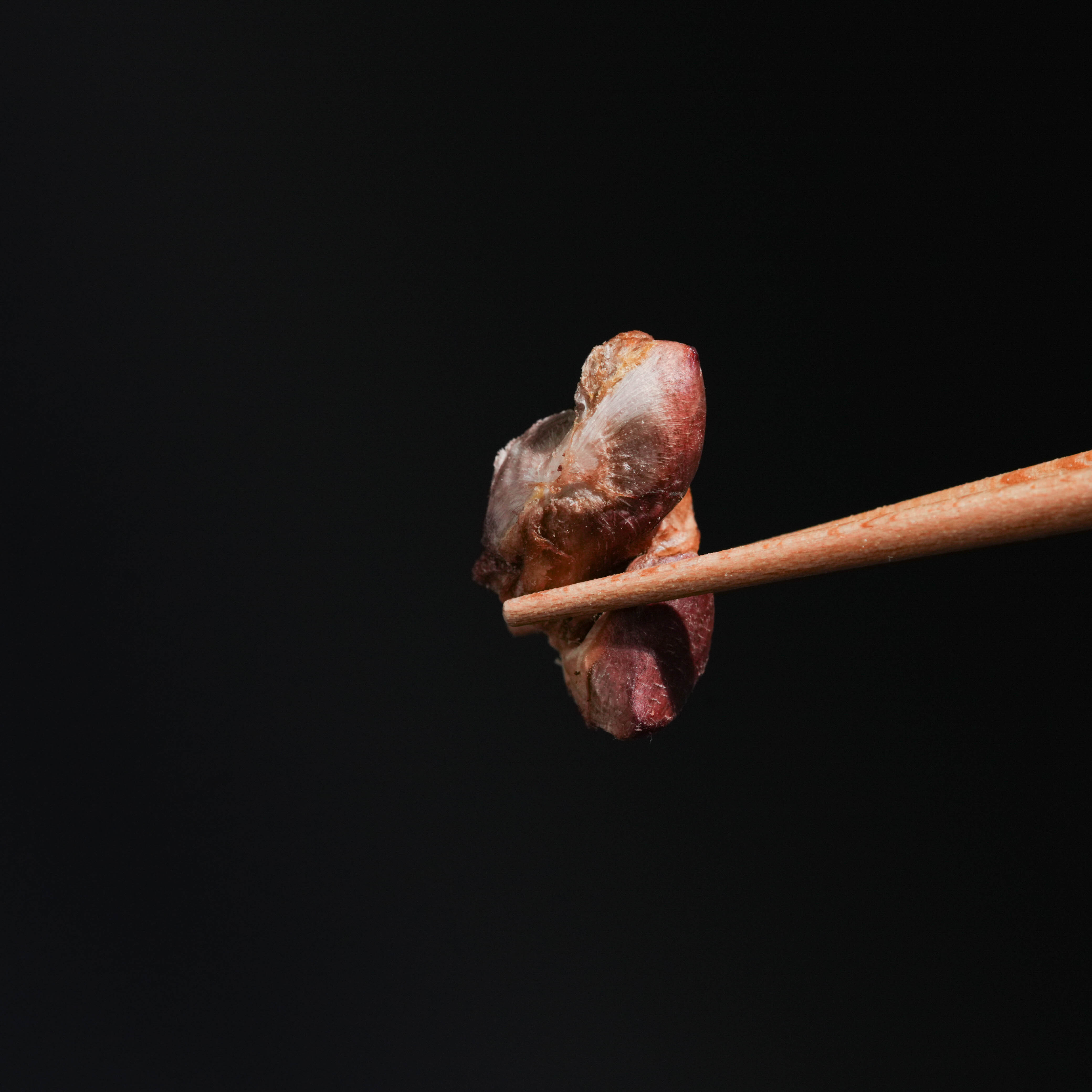 派庫香檳鳥下水凍乾選用鵪鶉心胗部位，含豐富牛磺酸。