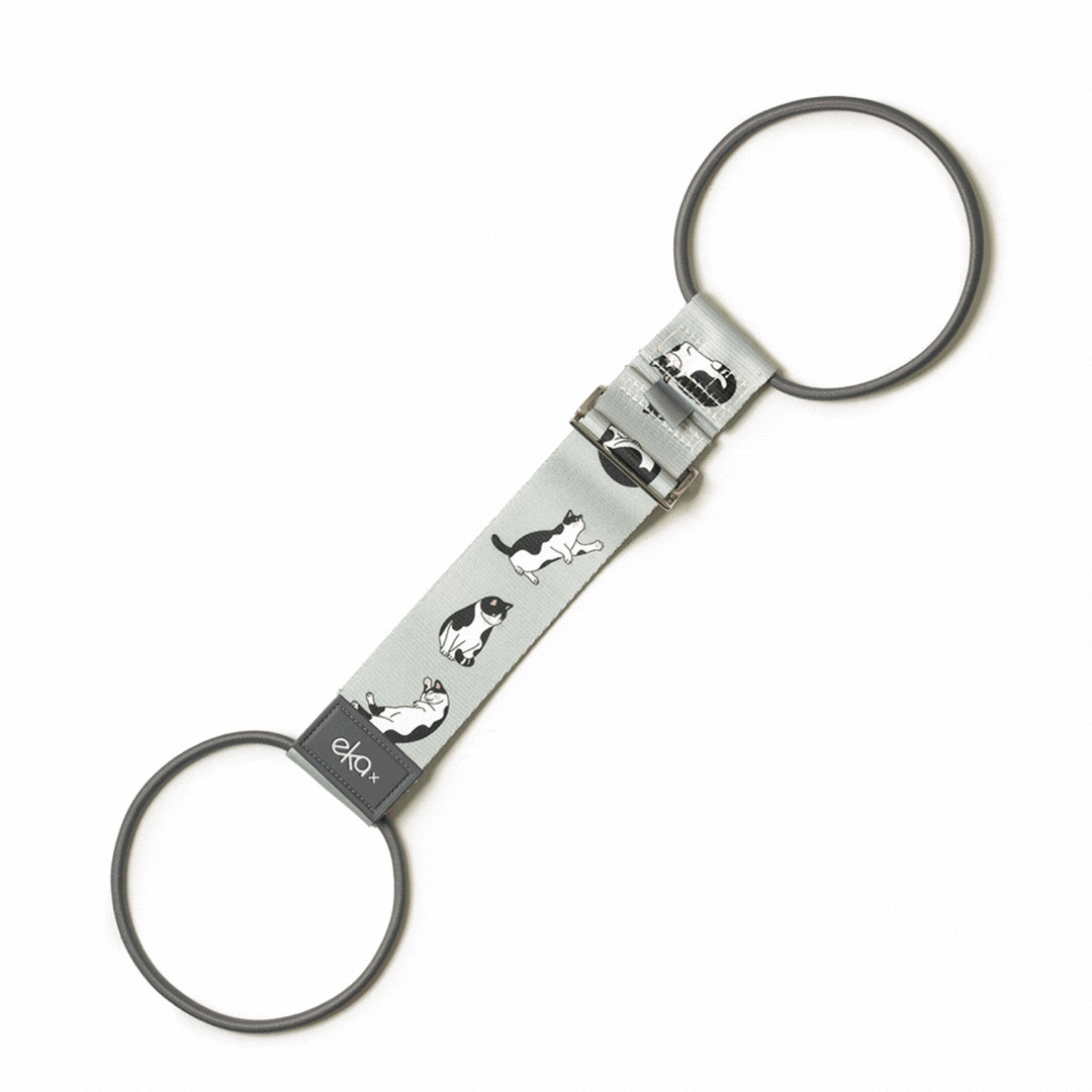 行李彈性固定帶