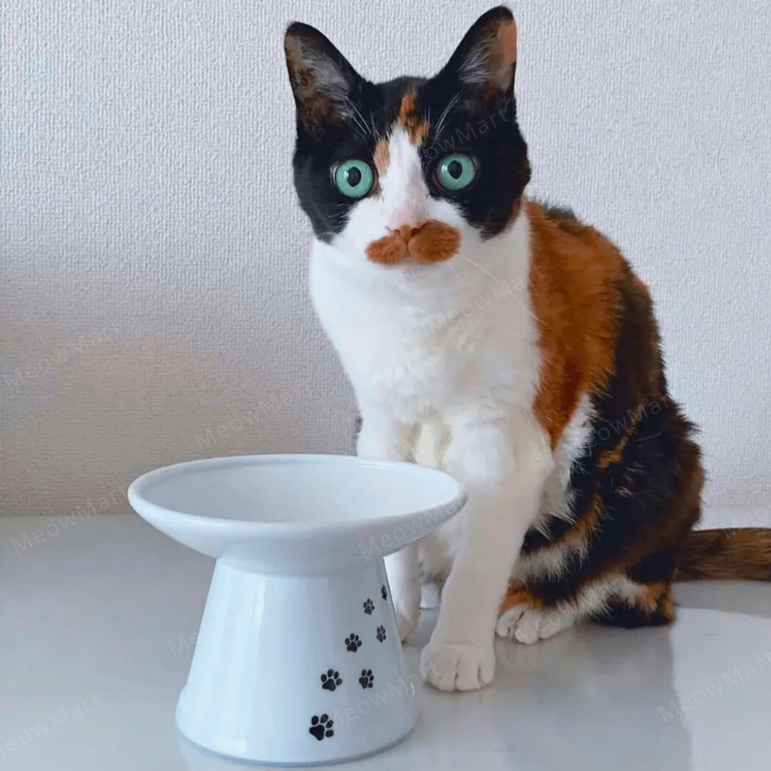 necoichi 淺口食物碗