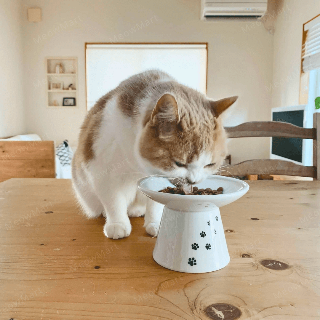 necoichi 淺口食物碗