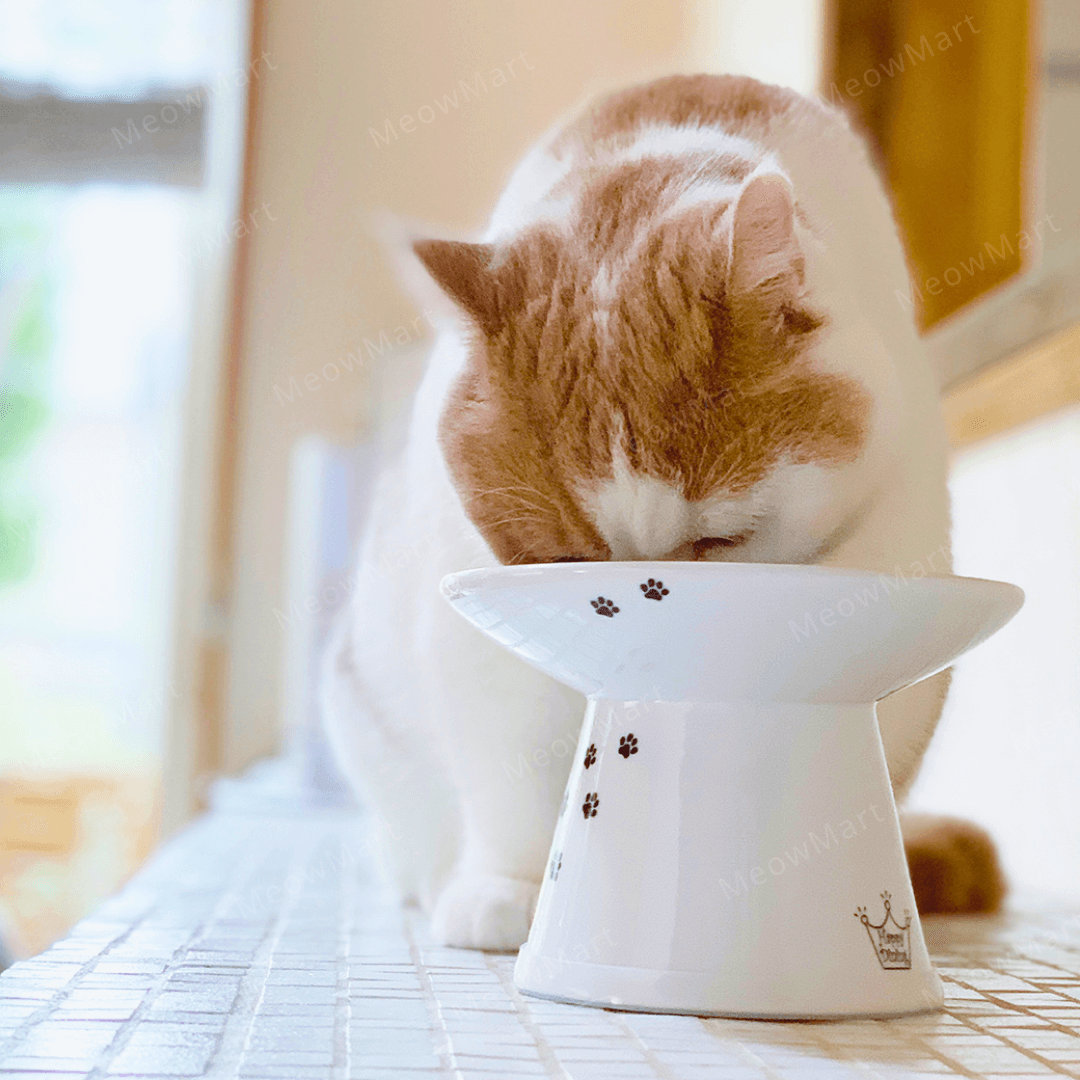 necoichi 淺口食物碗