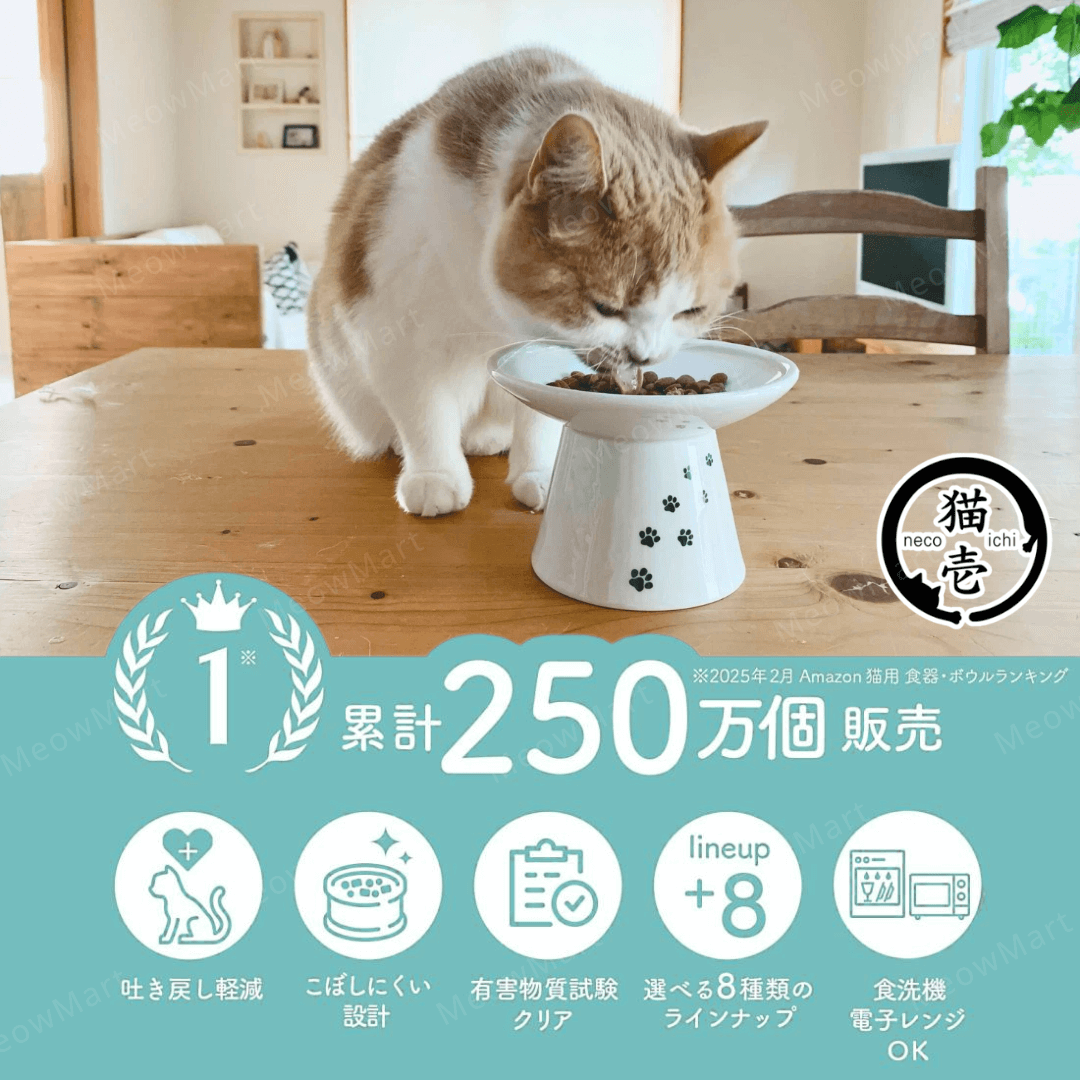 necoichi 淺口食物碗