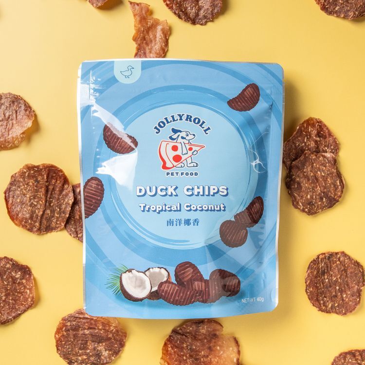 【喜翻 JOLLYROLL】Chips！鴨肉洋芋片-南洋椰香 40g