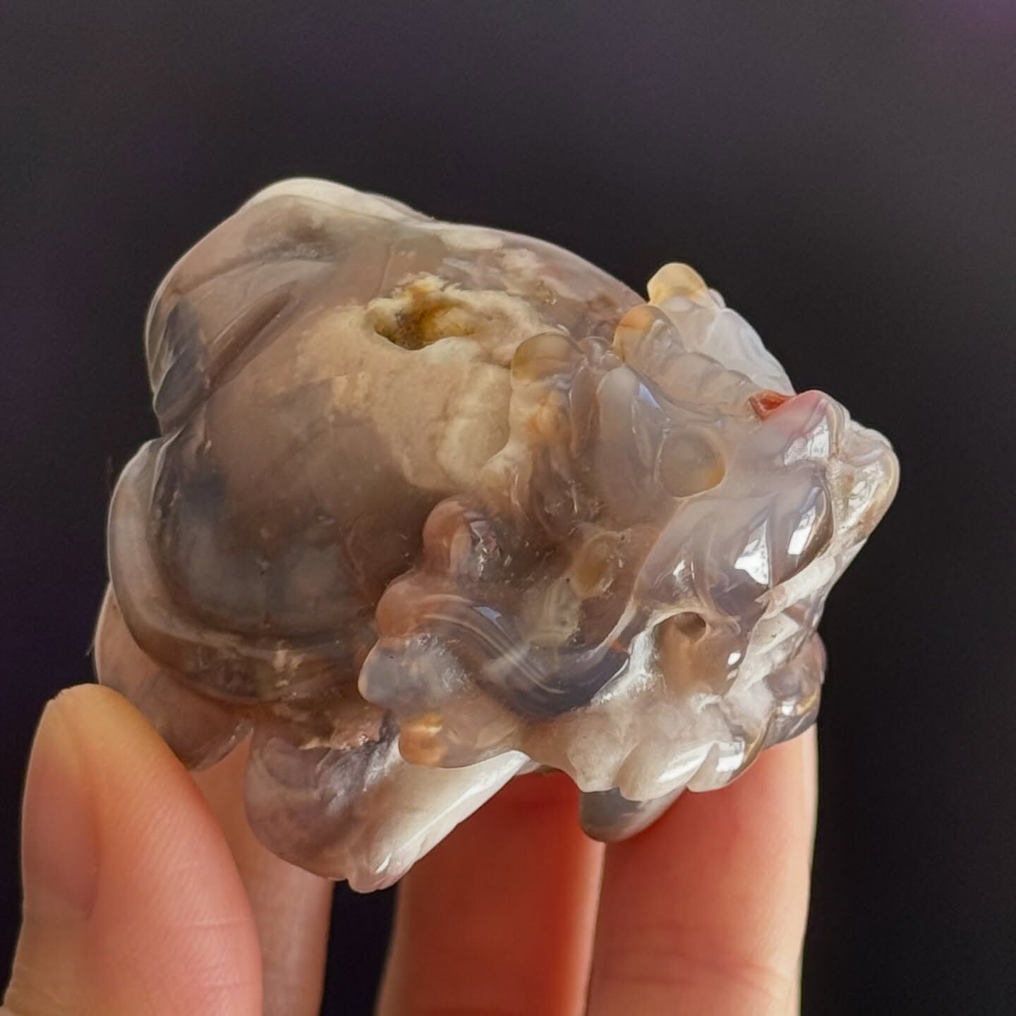 [原石] 星空瑪瑙 龍龜