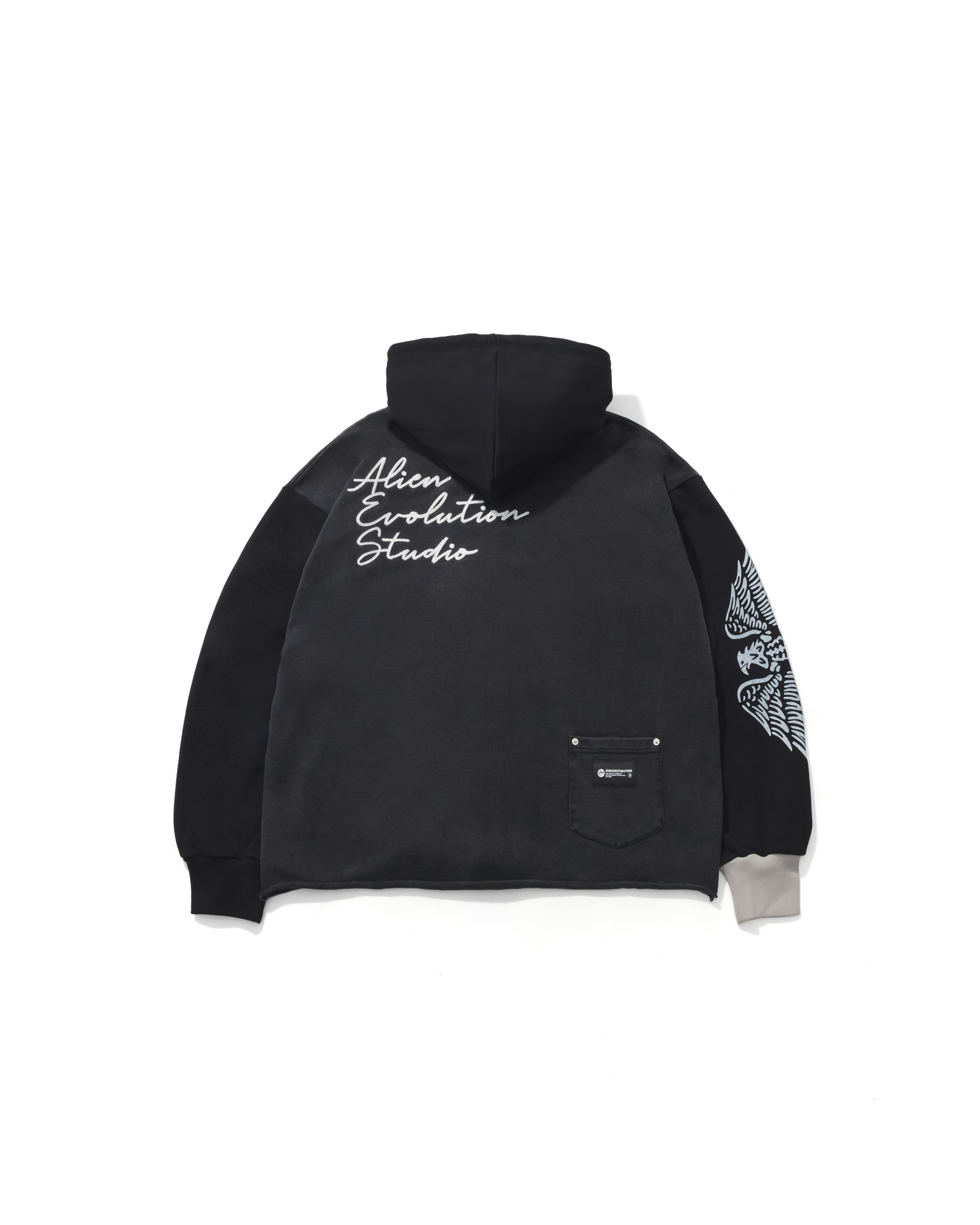 AES BALD EAGLE WASHED ZIP UP HOODIE