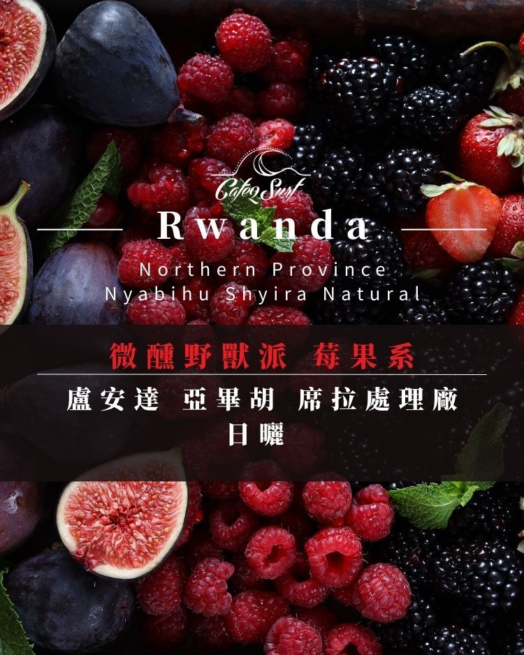 微醺野獸派 莓果系｜盧安達 亞畢胡 Shyira 日曬 A1｜咖啡豆 227g