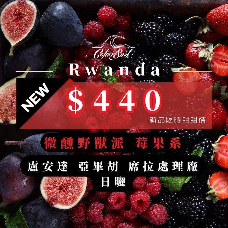 微醺野獸派 莓果系｜盧安達 亞畢胡 Shyira 日曬 A1｜咖啡豆 227g