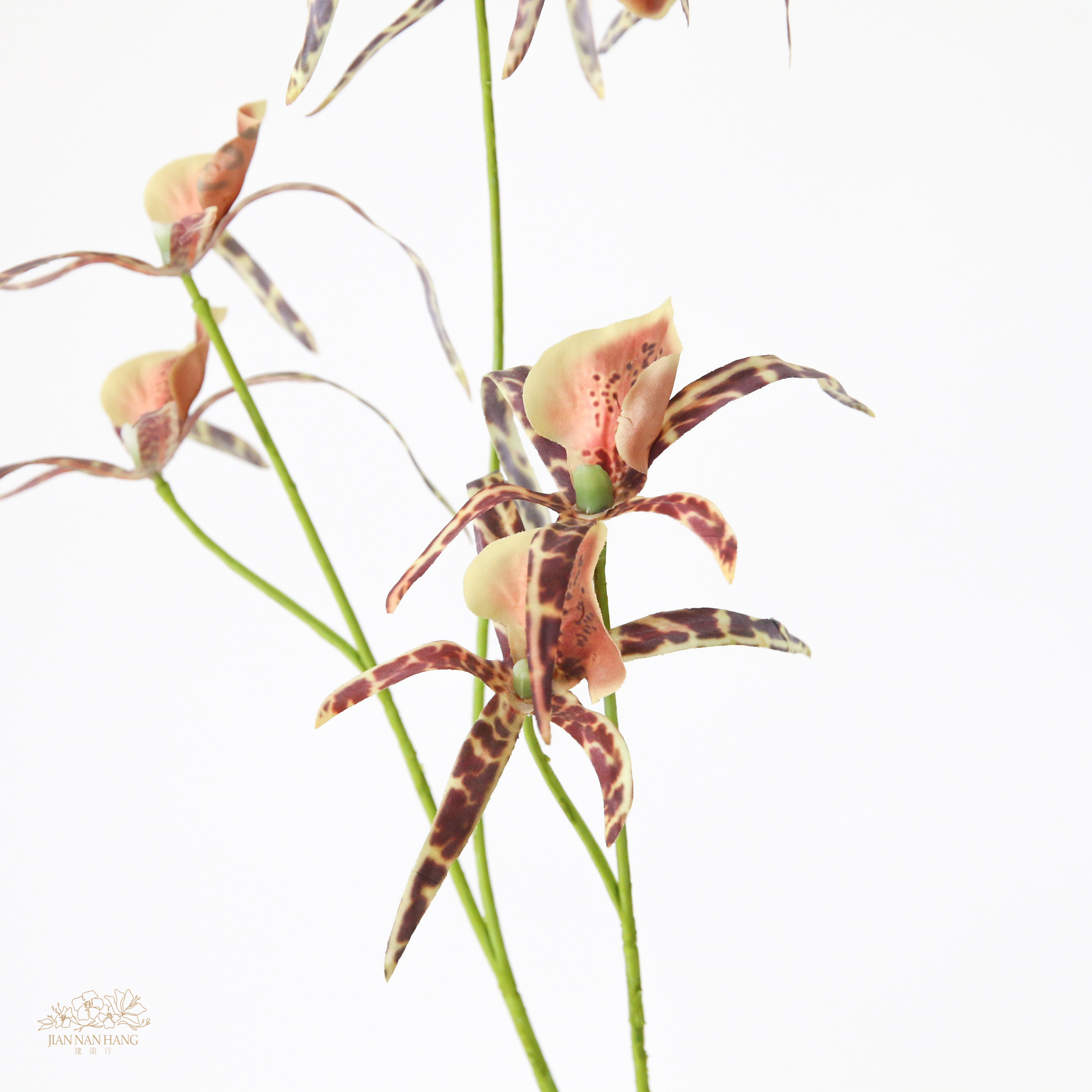 人造花 紫天王文心蘭 2色