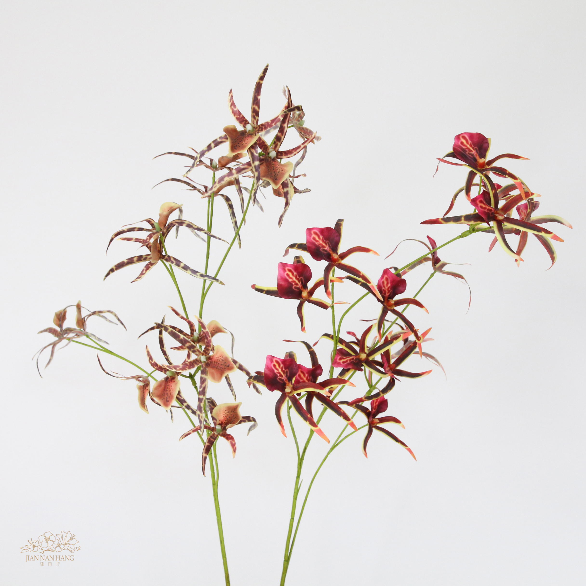 人造花 紫天王文心蘭 2色