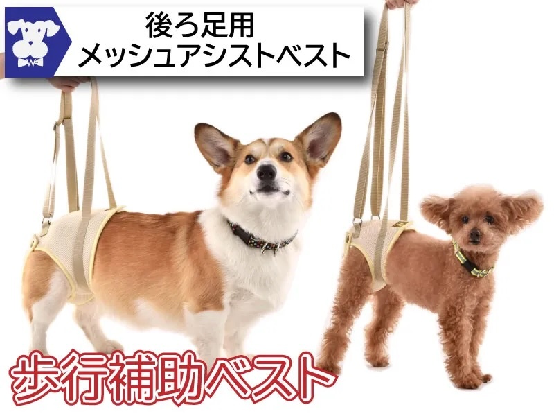 [WHCY] Mesh assist vest for hind legs