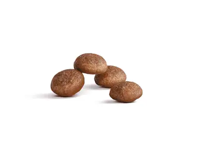 Royal Canin - S30+15 老貓15歲以上貓乾糧  2KG