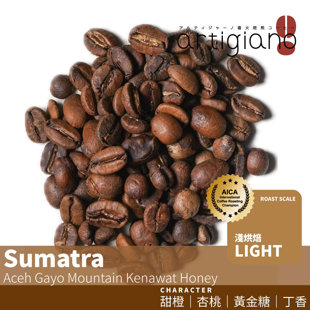 蘇門答臘 亞齊 迦幼山 奇諾瓦村 蜜處理