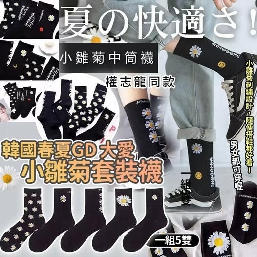 韓國春夏GD 大愛小雛菊🌼套裝襪（一套5雙） -2600119
