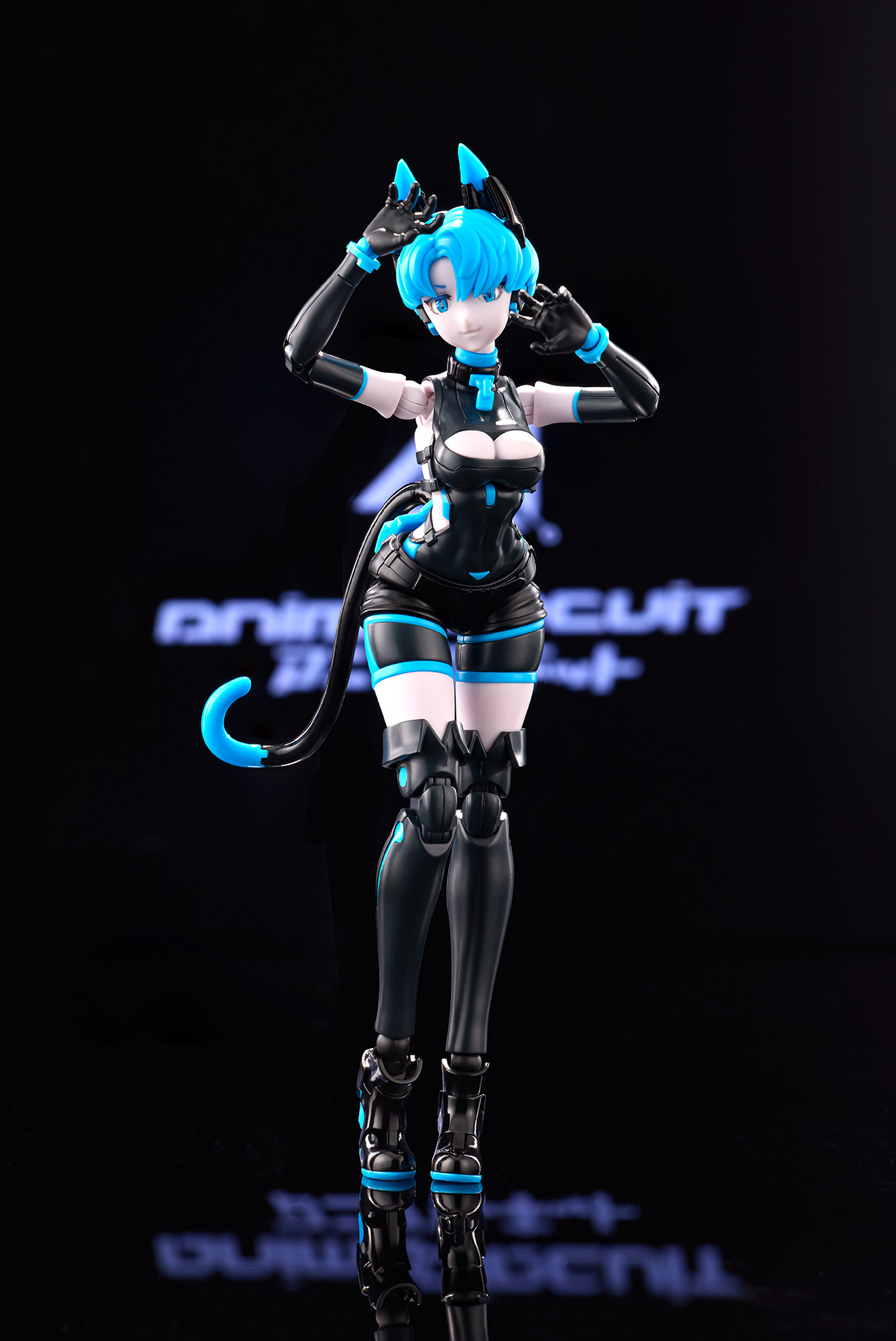 「ACG.GO」「預購」日版 ZHUO JIANG アニマサーキット ソラ・ザ・キャット SP