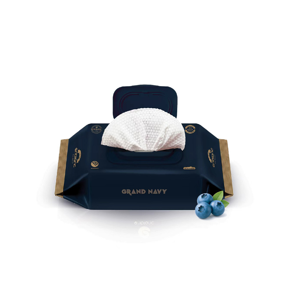 ENBLANC NEO 極厚藍莓｜有蓋大包純水濕紙巾｜70抽