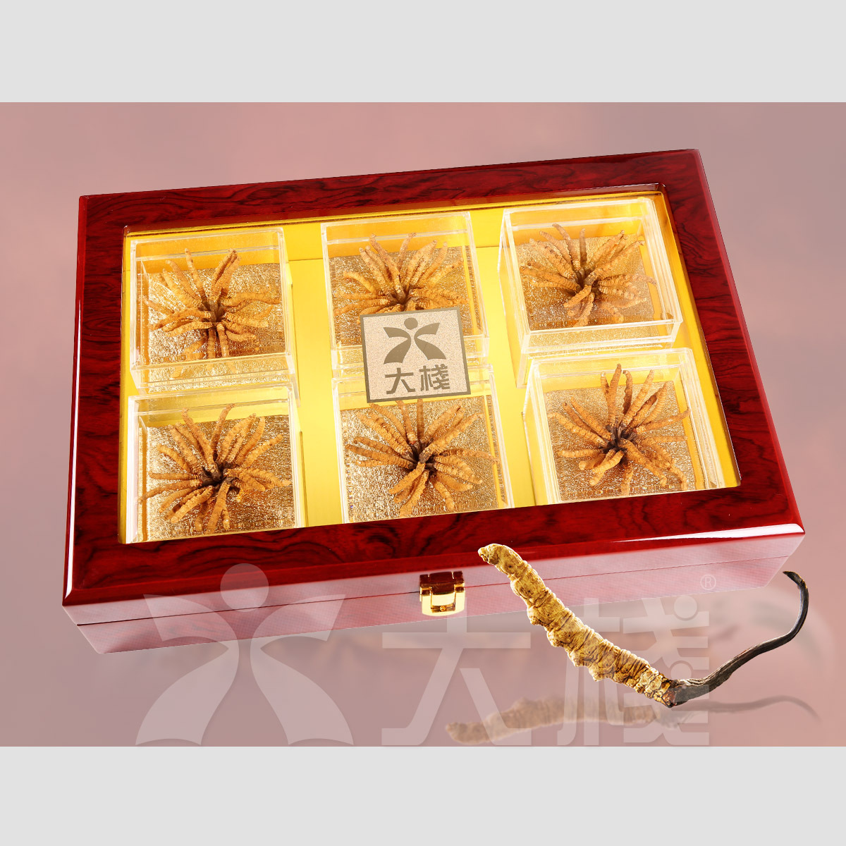 西藏冬蟲夏草 小花束禮盒裝 (不設退換) (別稱 冬蟲草，蟲草，藏草)