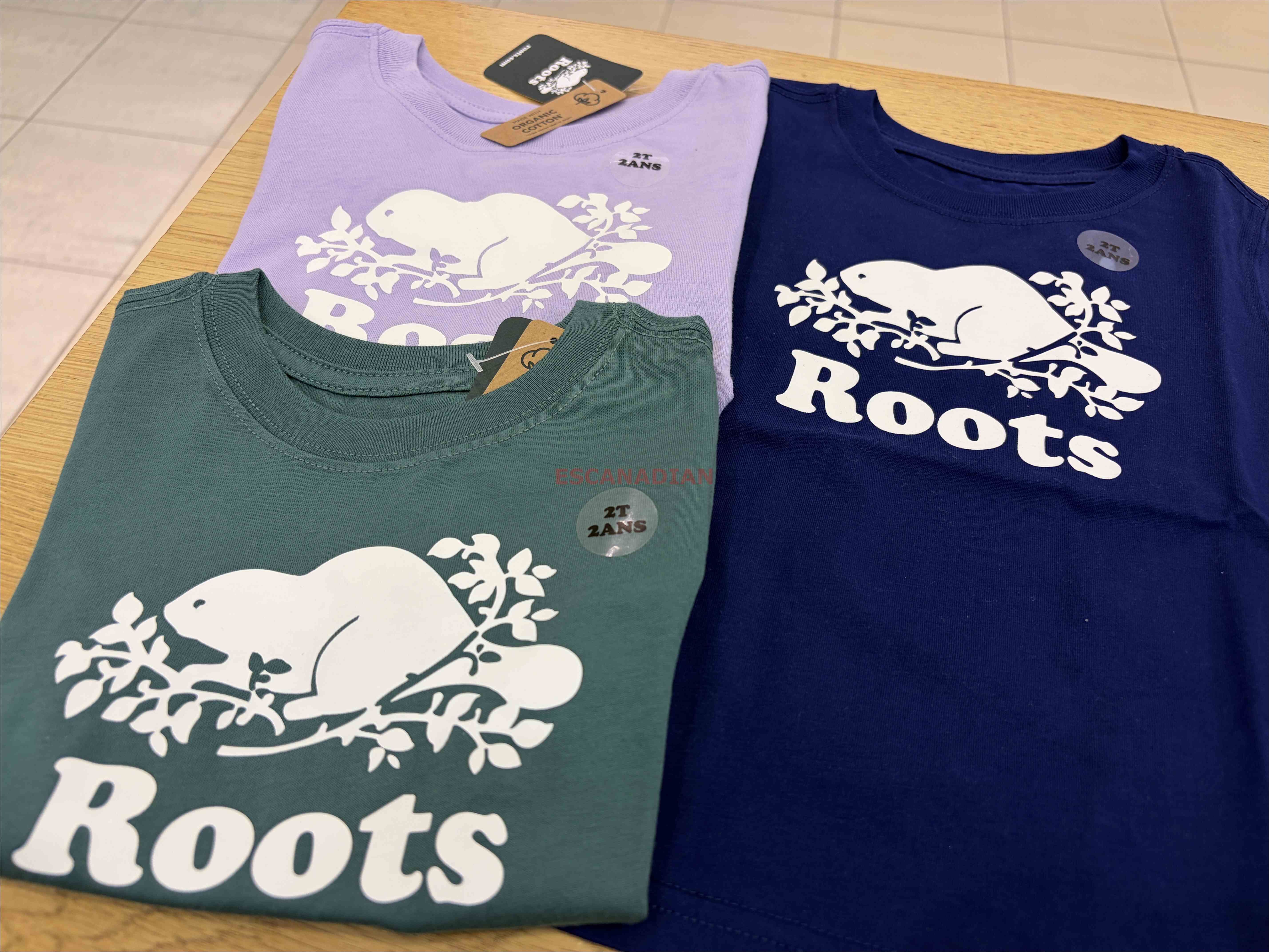 ROOTS 小童 經典海狸 短TEE (3色)