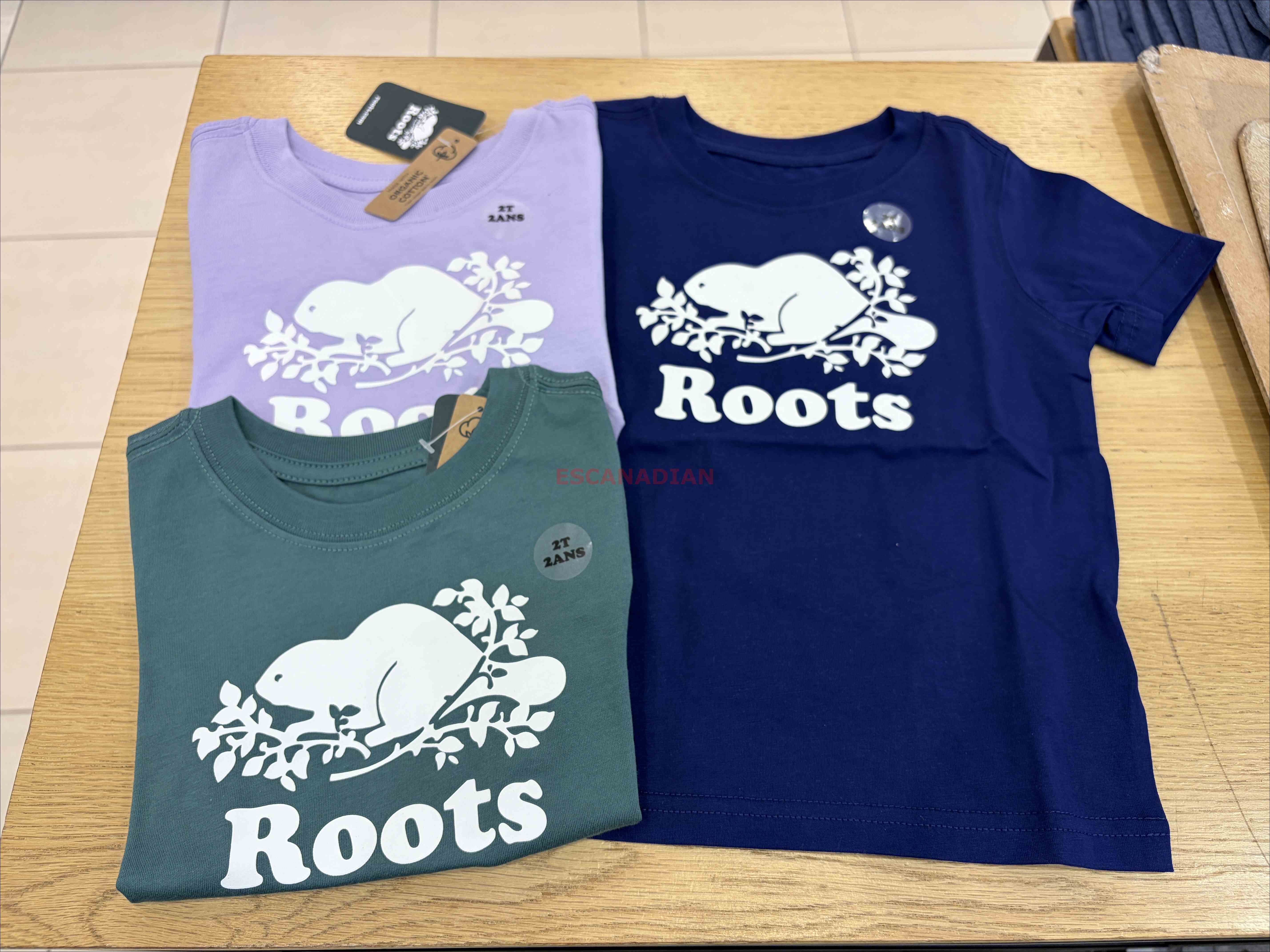 ROOTS 小童 經典海狸 短TEE (3色)